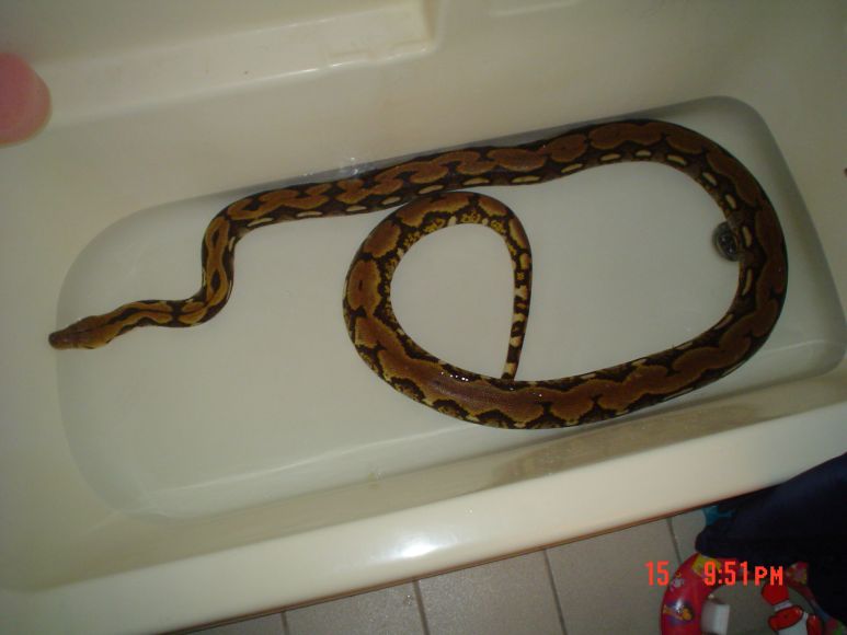 Ruby taking a bath
