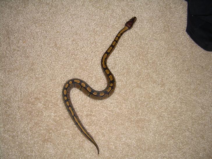 baby6