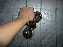 Ukrainian anaconda!