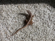What's this