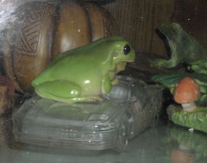 HoudiniCar