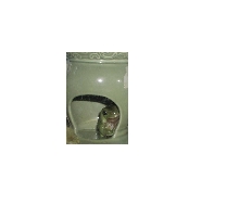 Houdini Hiding 1
