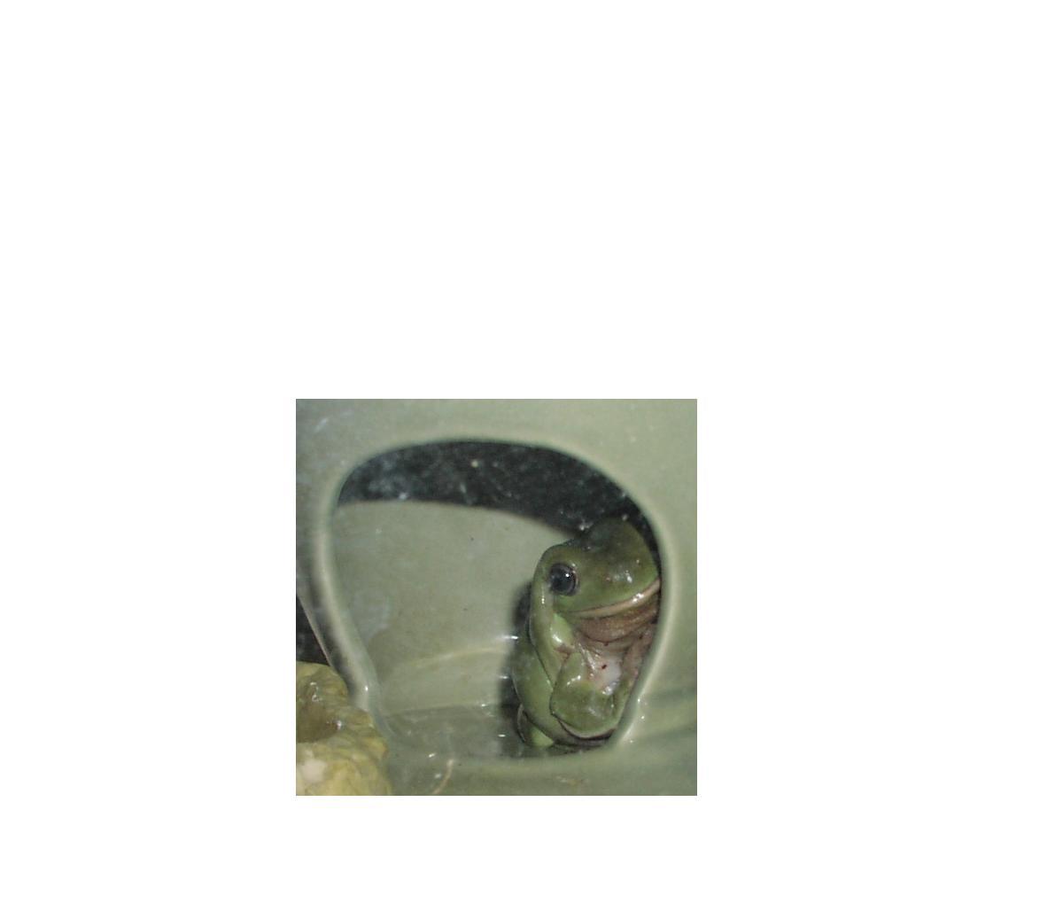 Houdini Hiding 2