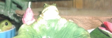 Houdini with Lily Pads