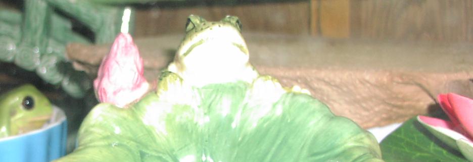 Houdini with Lily Pads