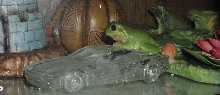 Houdini on the trunk