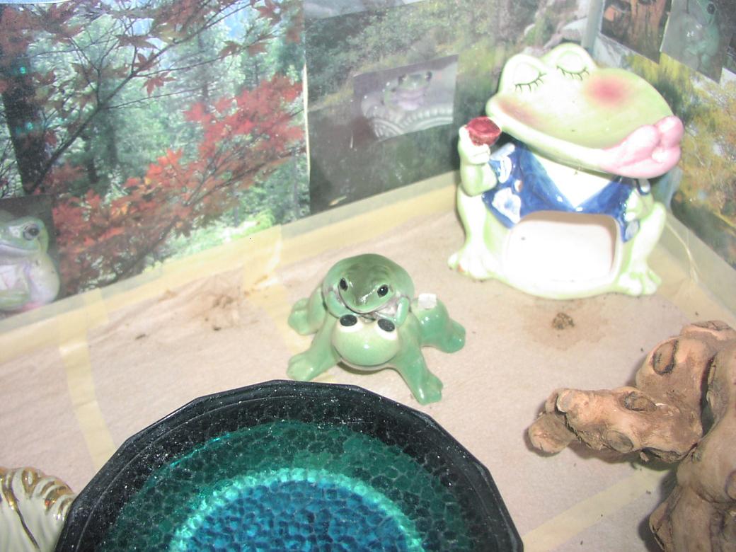 Milkshake on a Ceramic Frog
