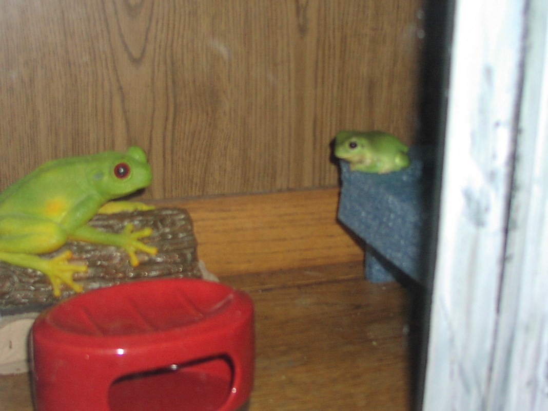 HoudiniwthBigFrog
