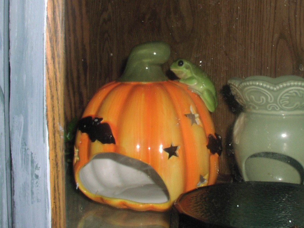 Pumpkin Sitting