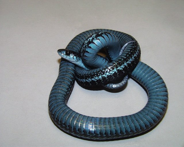 Blue Phase pickerings
