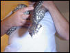DRACO 1