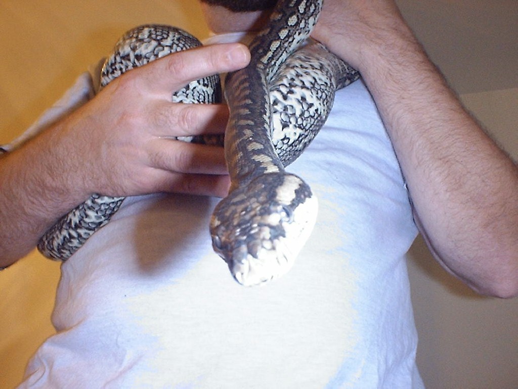 DRACO 1