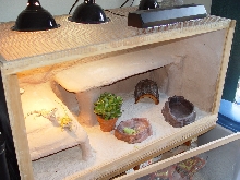 Home made beardie cage