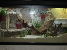 New home