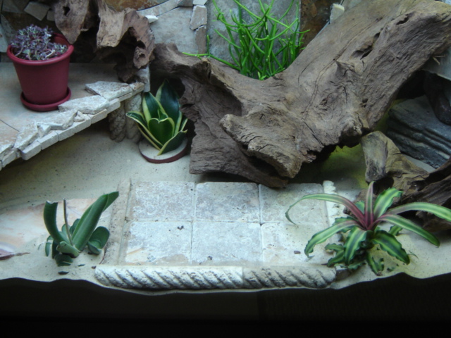 Feeding Station