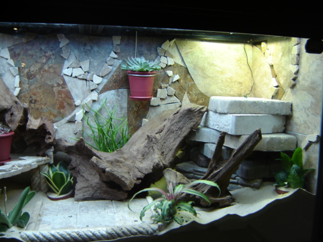 right Side