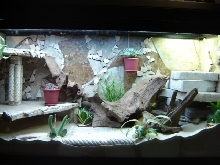 New House