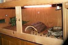 6ft RTB cage