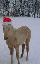 angel hat