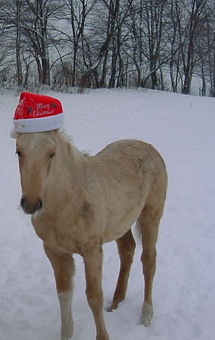 angel hat
