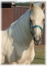 Oro Cita de Paulina head shot