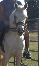 cita close up ride
