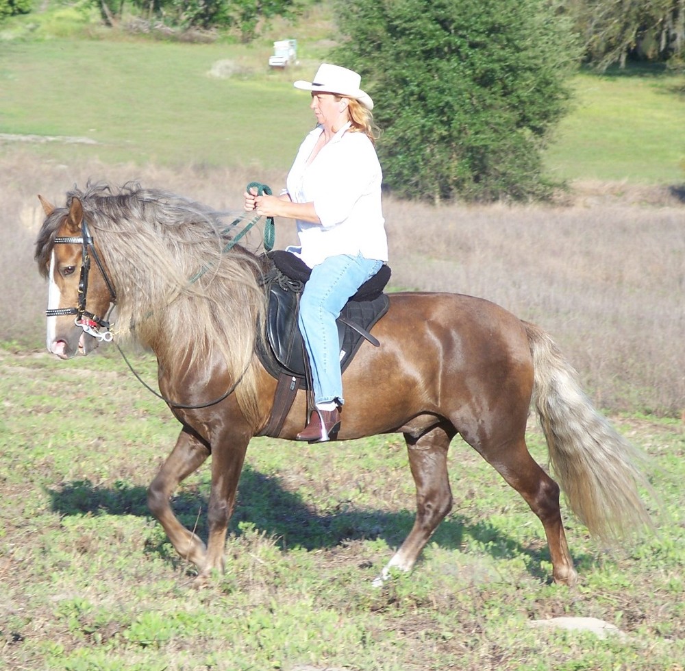 riding frost
