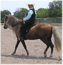 Deb and Frost after Novice PLeasure