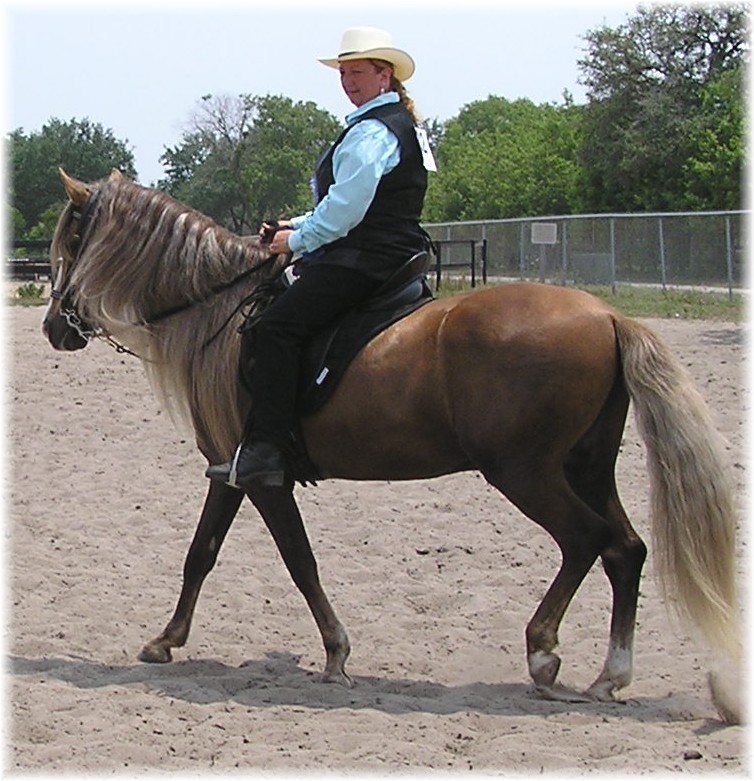Deb and Frost after Novice PLeasure
