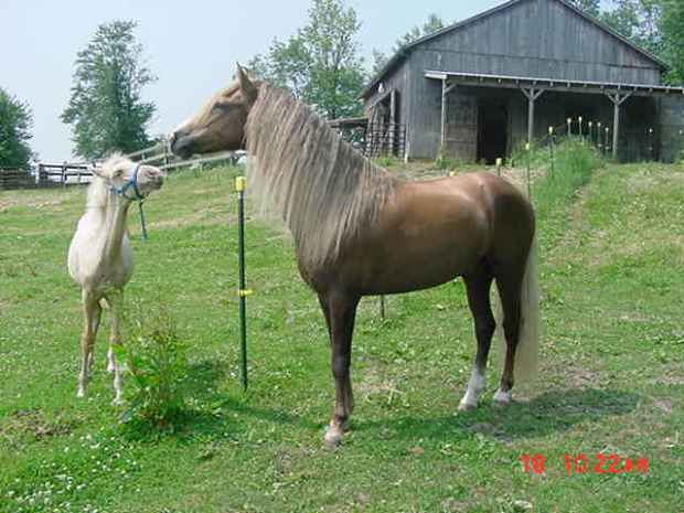 frost and cita