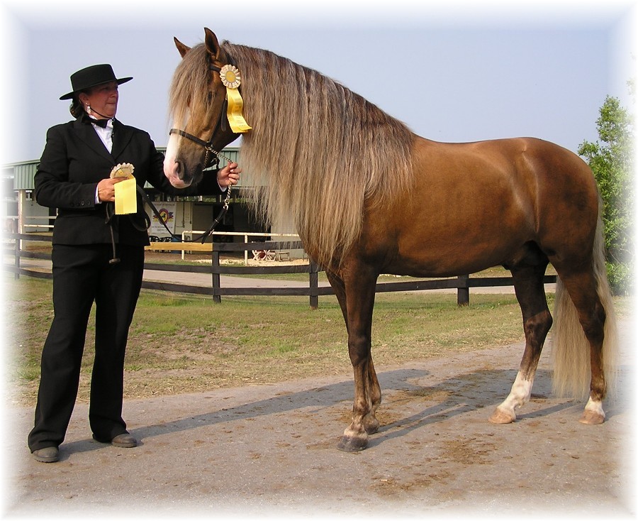 Frost After Bella Forma mane side