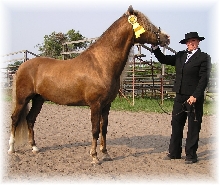 frost and Deb after Bella Forma Ocala Classic
