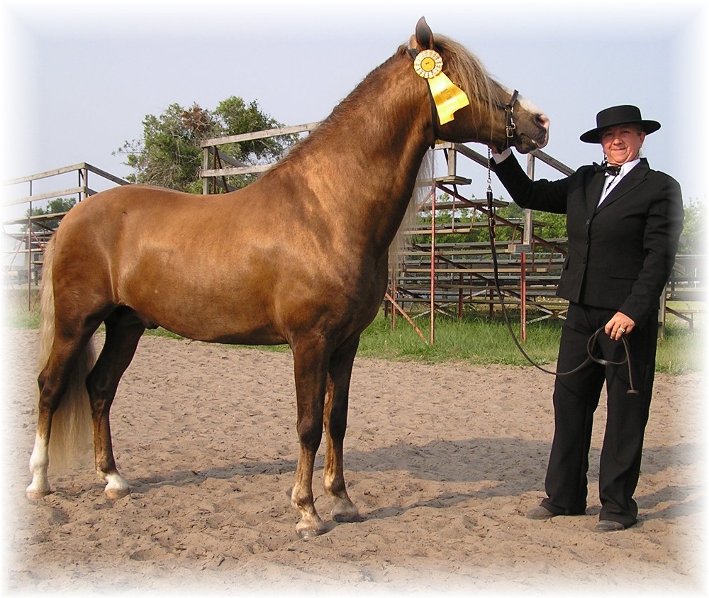 frost and Deb after Bella Forma Ocala Classic