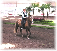 Frost riding Ocala Classic