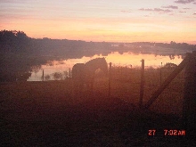 pasture at sunrise