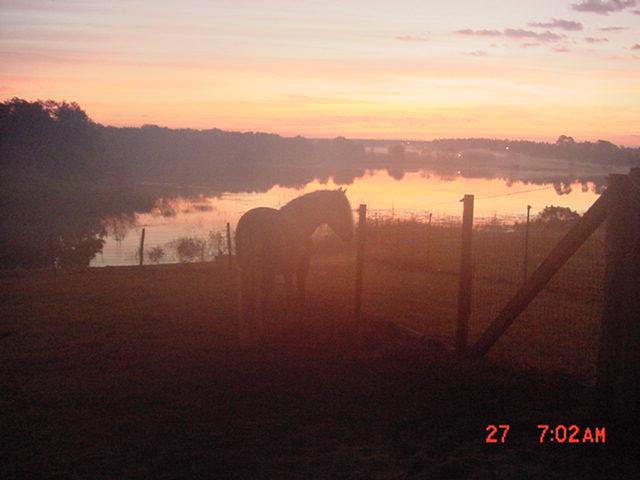 pasture at sunrise