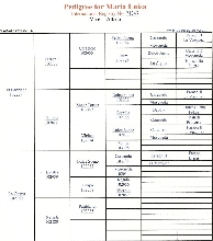 maria pedigree