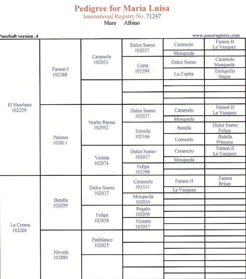 maria pedigree