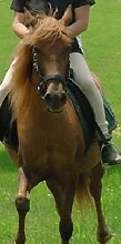 Paulina Amorosa ppr mare