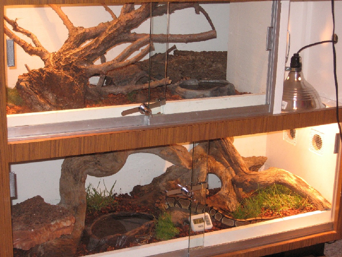 Bull/ball terrariums