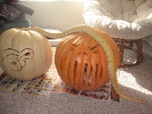 Happy Halloween!