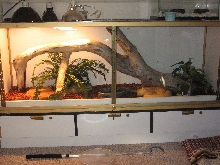 Burm terrarium