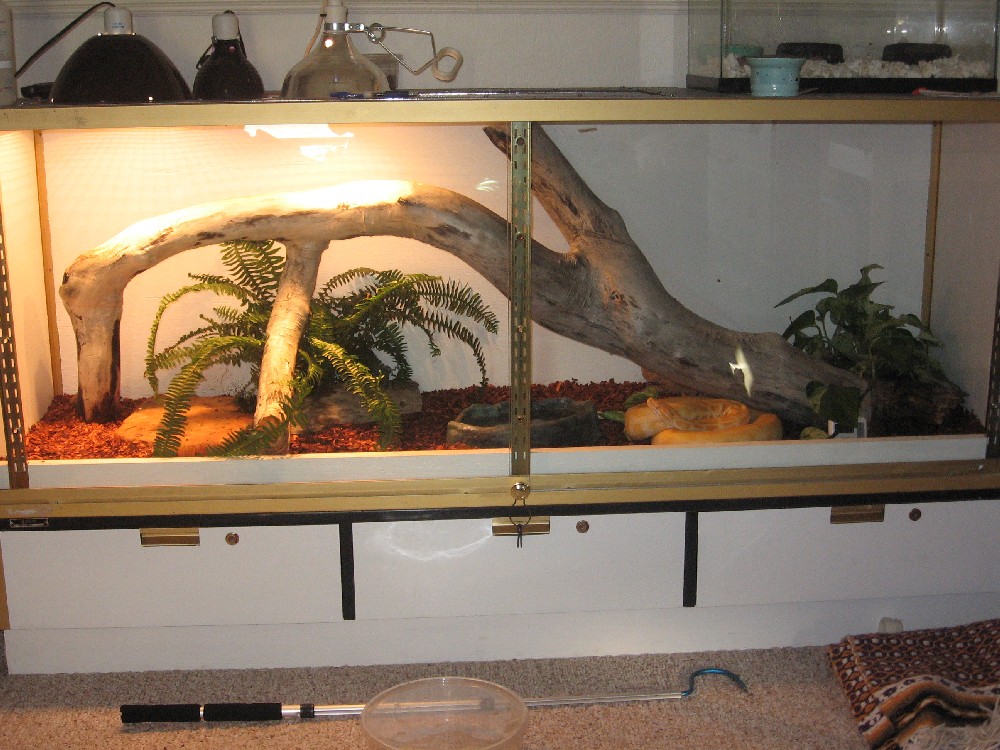 Burm terrarium
