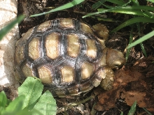 Just kickin it in the yard