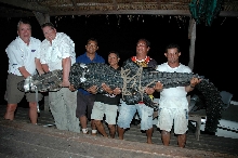 Massive 12 foot Black Caiman!