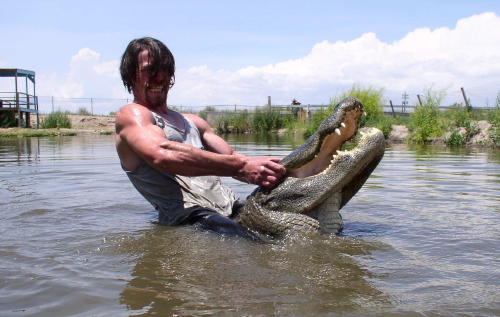 Gator wrestling