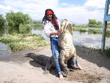 Big Gator