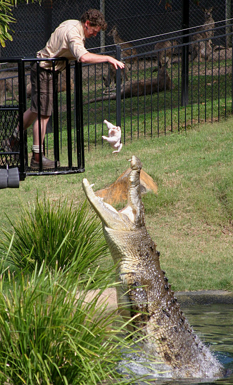 CRIKEY!