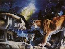Cougar Vs. Wolf