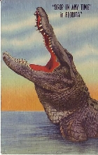 Come to Florida!